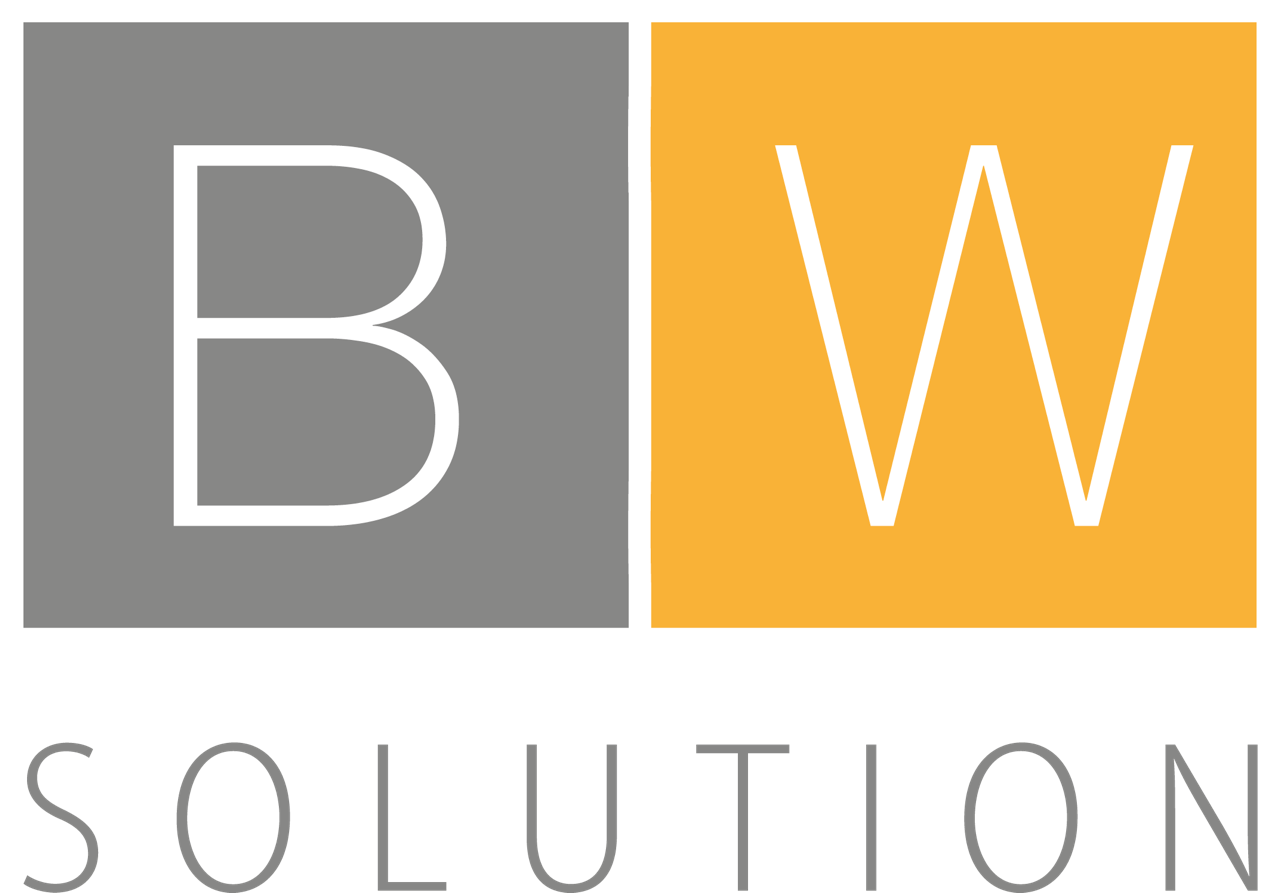 BWSolution GmbH – Automotive Software – Autohaus Lösung